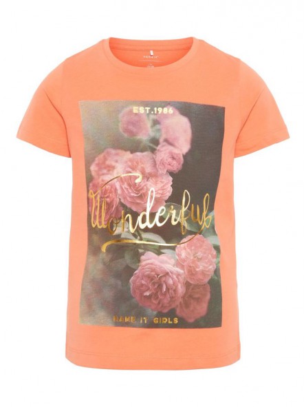 Camiseta estampada, NAME IT Camiseta estampada, NAME IT